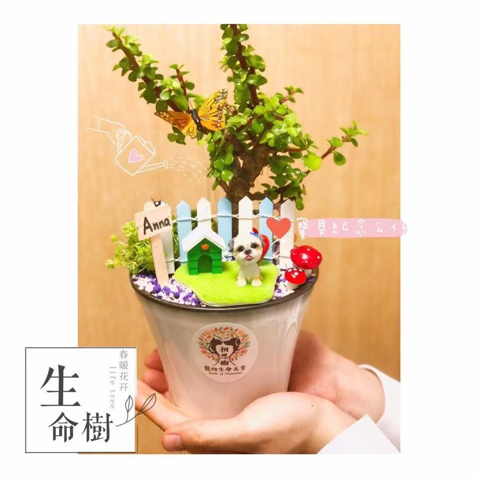 寵物樹葬盆栽是使用方便栽種的植物以及介質,融合毛寶身體的一部分製作而成的