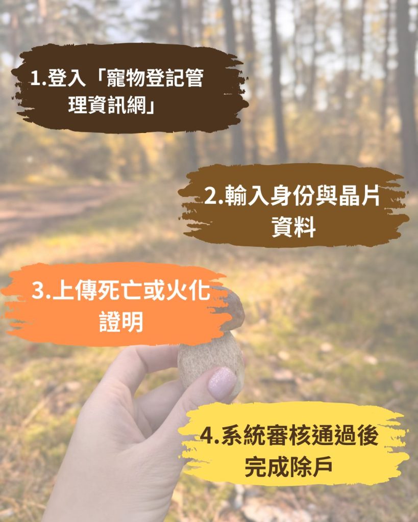 寵物死亡除戶的基本流程圖介紹