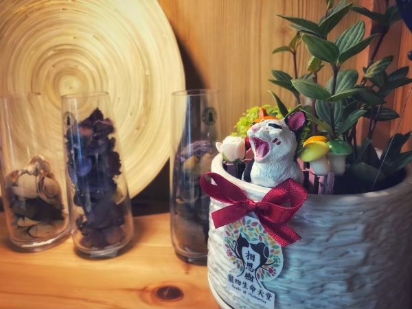 用寵物樹葬盆栽讓毛孩換個方式陪伴在你身邊。
