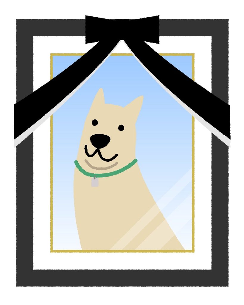 寵物往生服務內容包含寵物火化、寵物遺體SPA、寵物紀念品及安葬方式