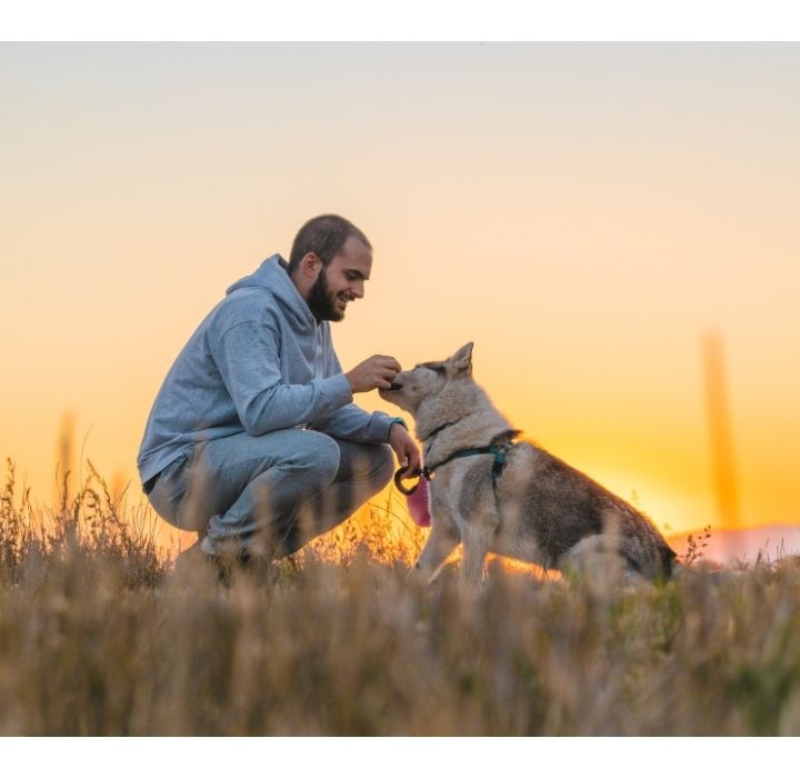 不同種類、重量的寵物在寵物往生服務價格也不同