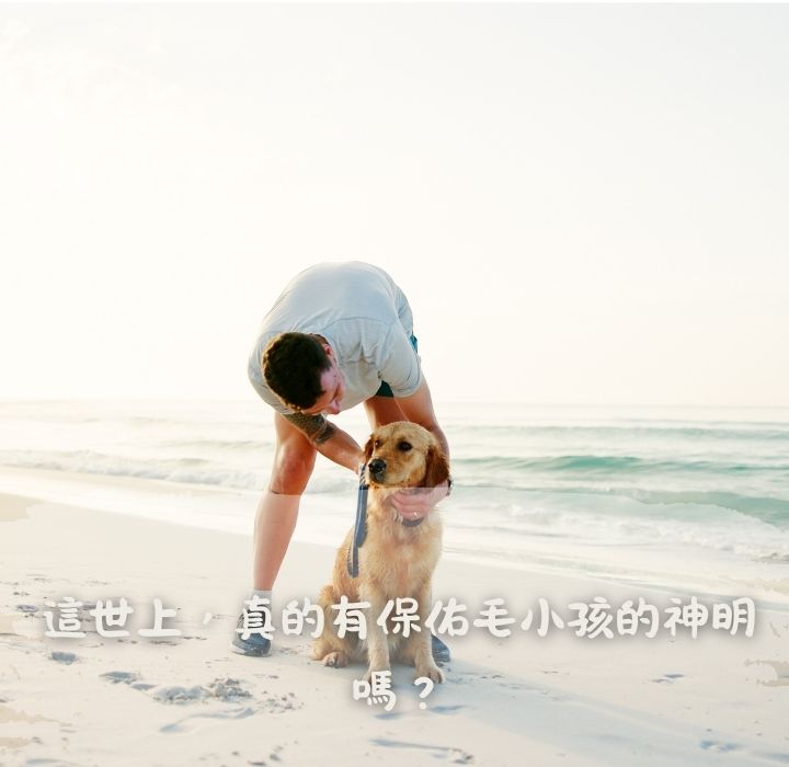 【2025最新】保佑寵物的神明是誰？毛孩的守護神與全台保佑寵物的廟宇分布