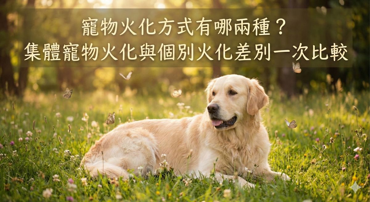 寵物火化方式有哪兩種?集體寵物火化與個別火化差別一次比較