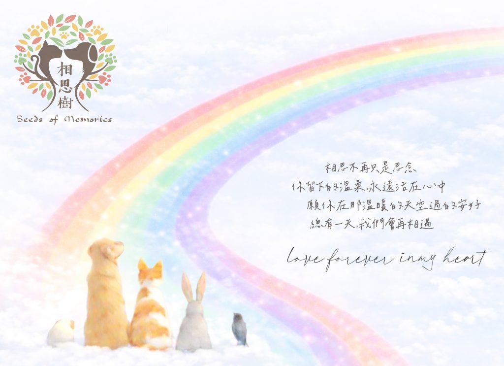 相思樹寵物火化，提供北部最完整寵物臨終服務。