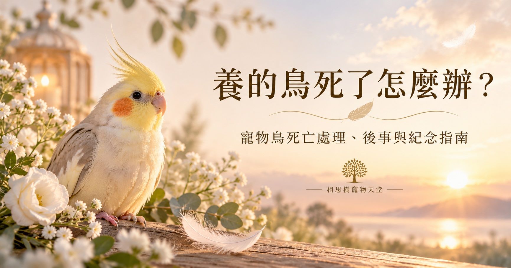 養的鳥死了怎麼辦?寵物鳥死亡處理、火化與後事完整指南